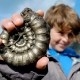 The Charmouth Heritage Coast Centre