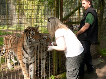 Port Lympne Animal Park (7 Day Weather Forecast For Lympne) Port Lympne Animal Park (7 Day Weather Forecast For Lympne)