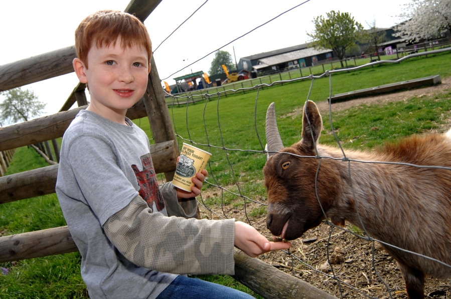 Willows Activity Farm (7 Day Weather Forecast For St Albans)