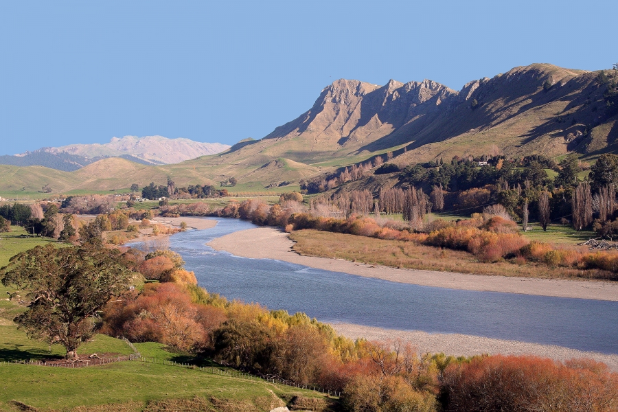 Hawkes Bay Scenic Tours Ltd (7 Day Weather Forecast For Napier)