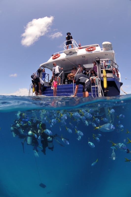 Down Under Cruise & Dive (7 Day Weather Forecast For Cairns)