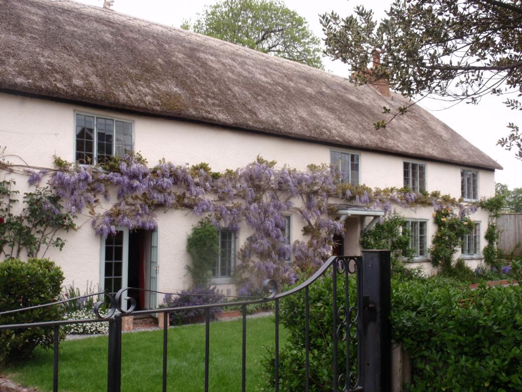 Arden Cottage Bed and Breakfast (7 Day Weather Forecast For Williton)