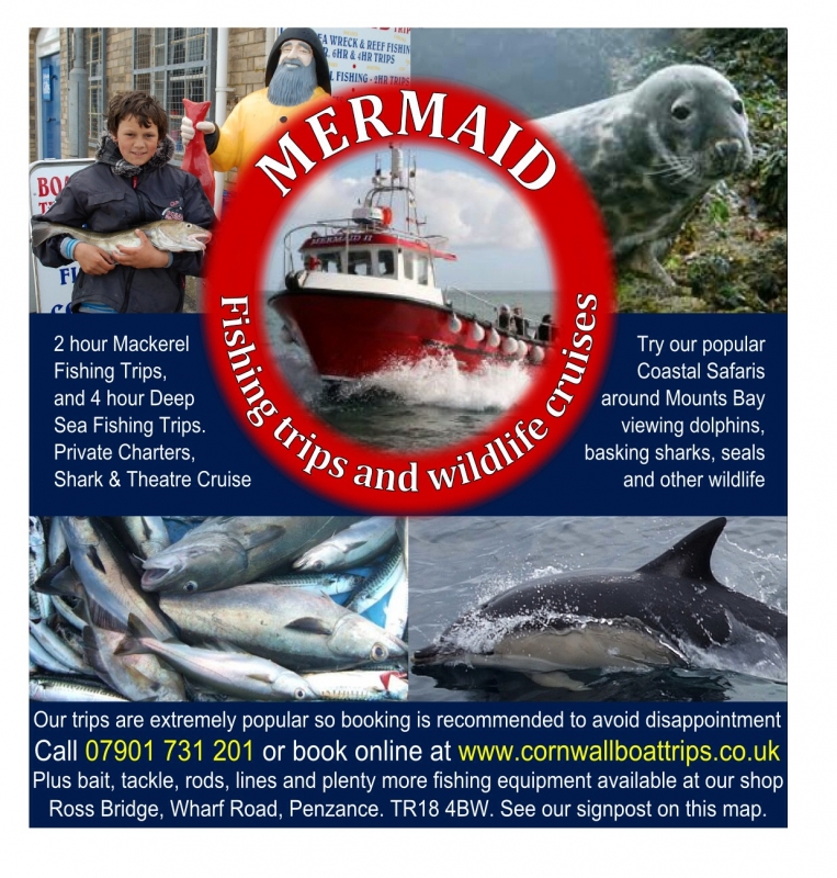 Mermaid Pleasure Trips (7 Day Weather Forecast For Penzance)