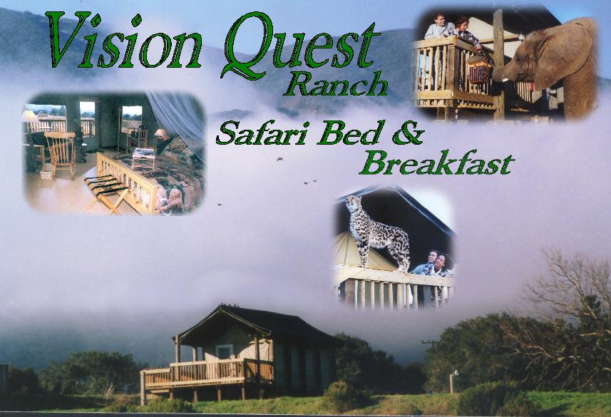 Vision Quest Safari Bed & Breakfast (5 Day Weather Forecast For Salinas)