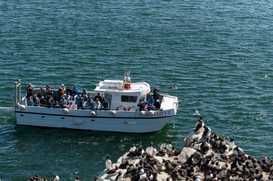 Serenity Farne Island Boat Tours (5 Day Weather Forecast For seahouses)