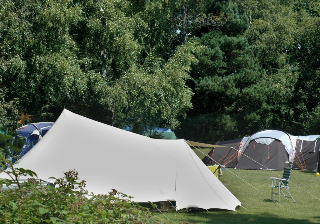 Beacon Hill Touring Park (7 Day Weather Forecast For Blandford Road North)