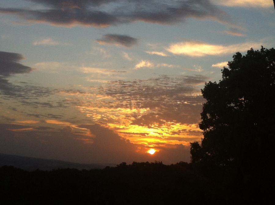 Ahhh...Ras Natango Gallery &Garden (7 Day Weather Forecast For