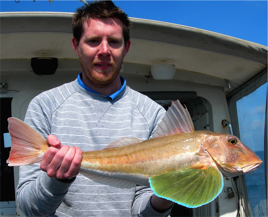 Fishing Jersey (5 Day Weather Forecast For St Helier)