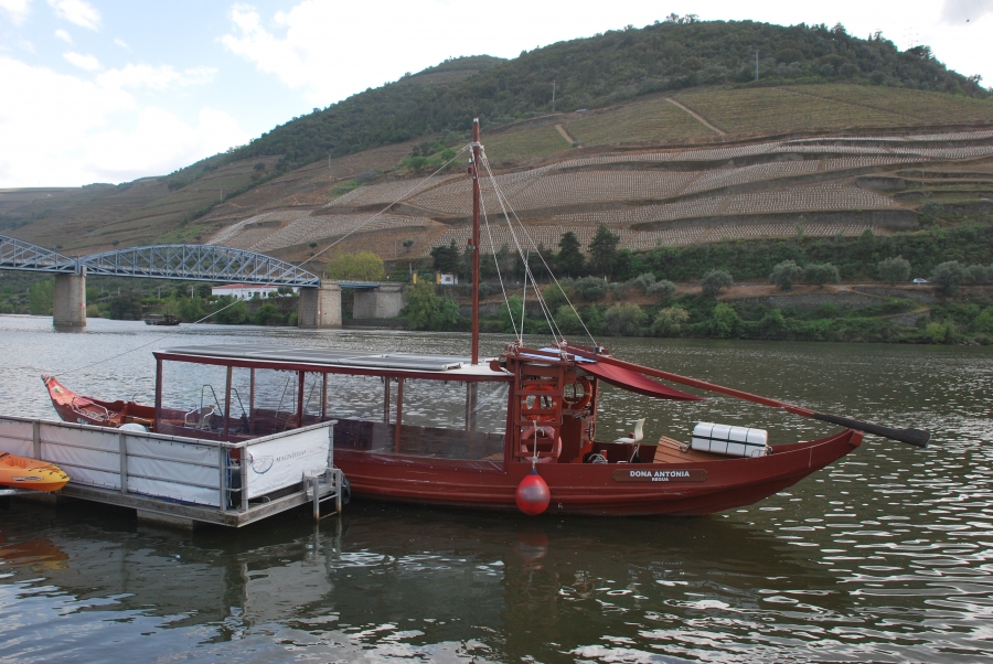Magnifico Douro / Activities on the Douro Valley (7 Day Weather