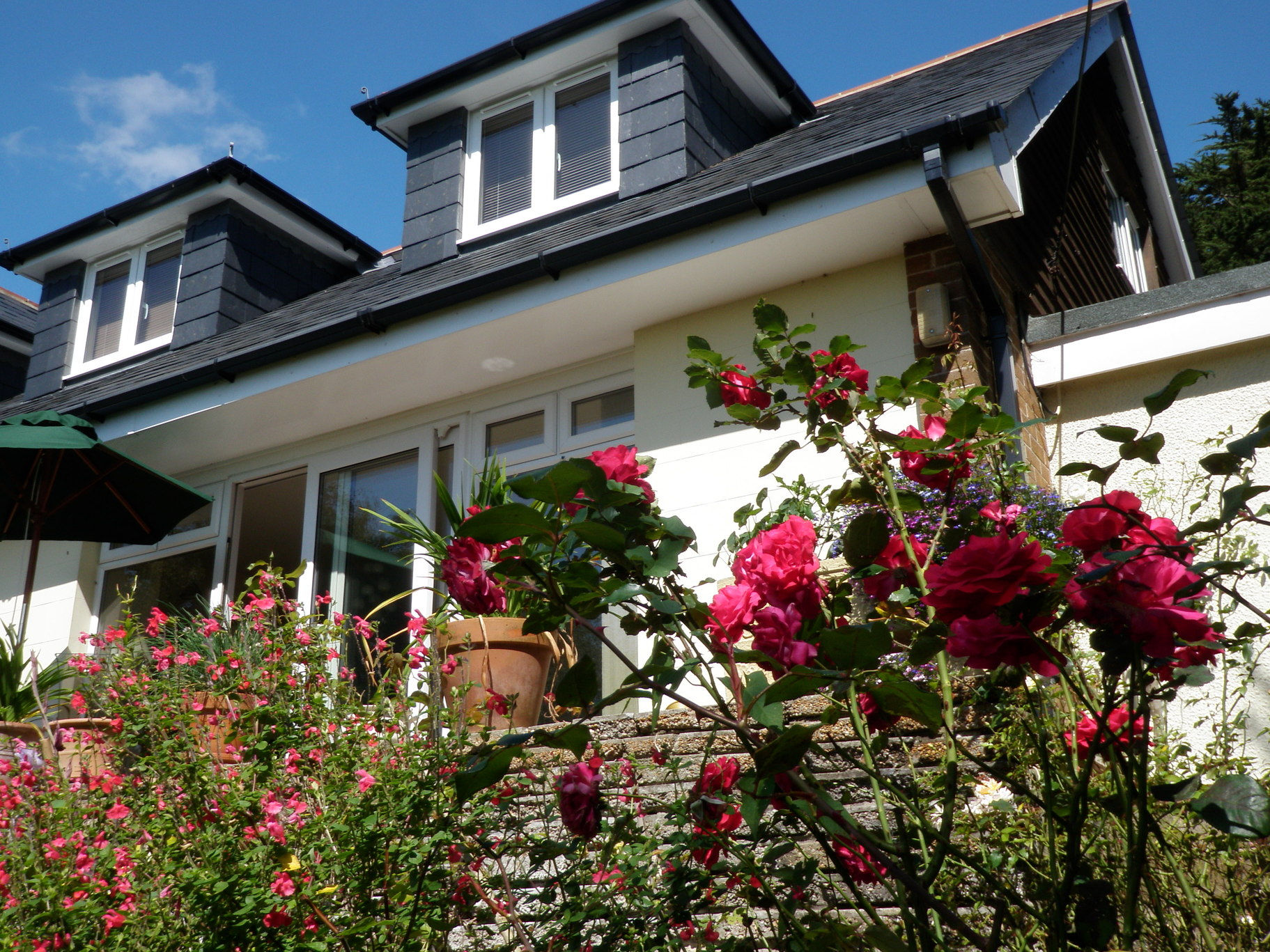 High Pines bed and breakfast near Sandown (7 Day Weather Forecast For Adgestone)