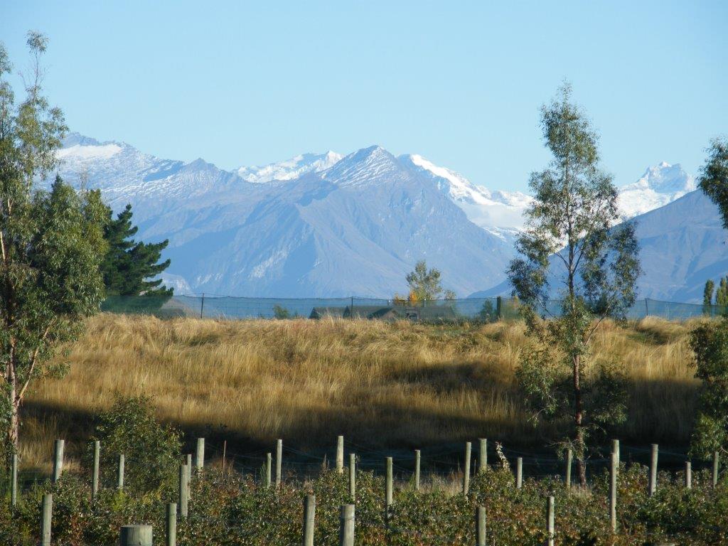 Wanaka Berry Farm and B&B (7 Day Weather Forecast For Wanaka)
