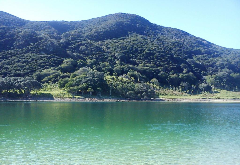 Wagener Holiday Park (7 Day Weather Forecast For Houhora Heads)