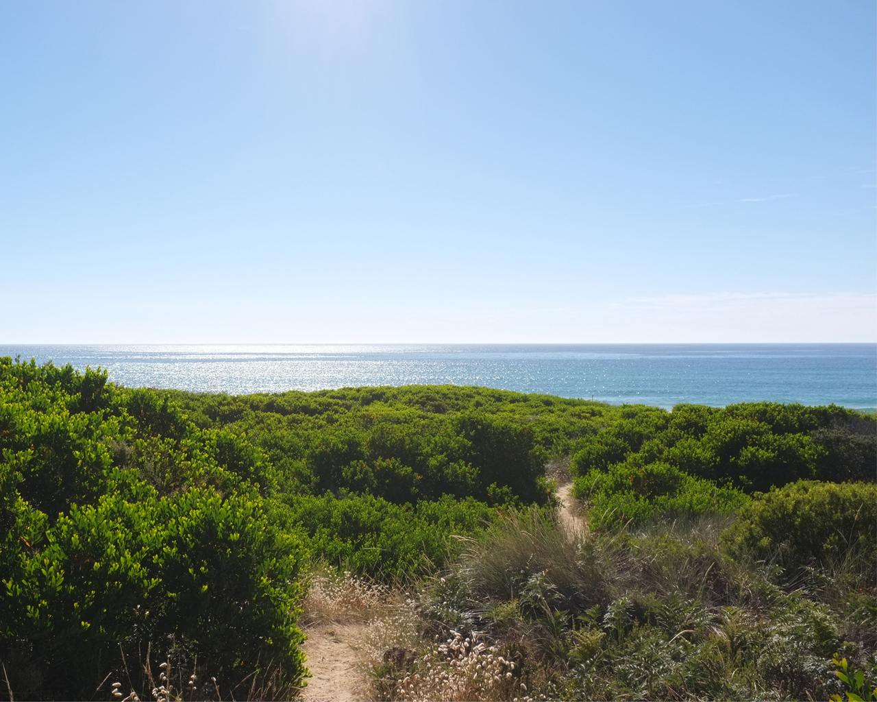 Beaumaris Beach Pad (7 Day Weather Forecast For Beaumaris)