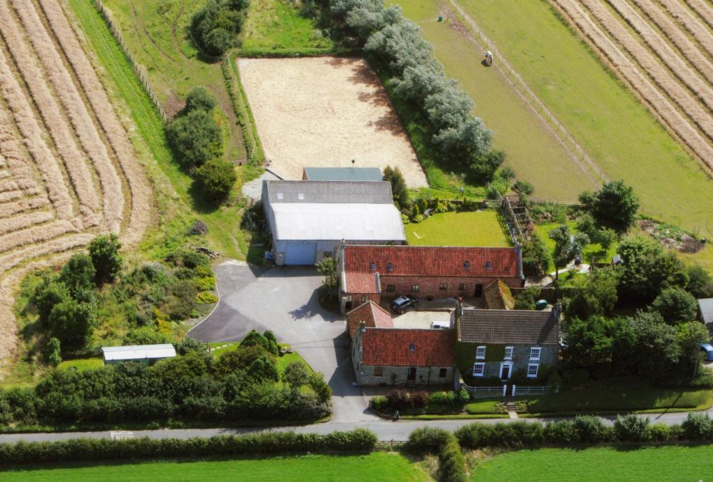 Summerfield Holidays (7 Day Weather Forecast For Whitby)