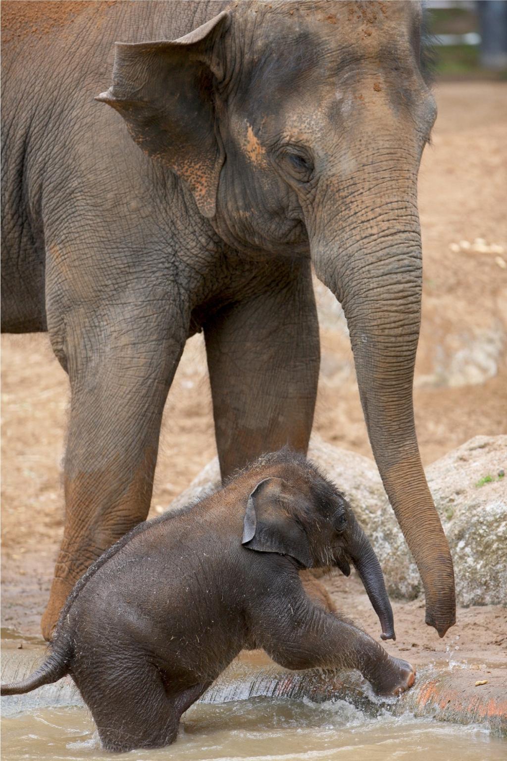 Melbourne Zoo (7 Day Weather Forecast For Parkville)