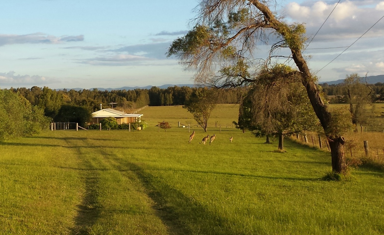 Summerfield (7 Day Weather Forecast For Rothbury)