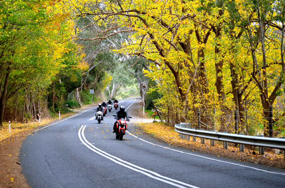 motorcycle tours adelaide