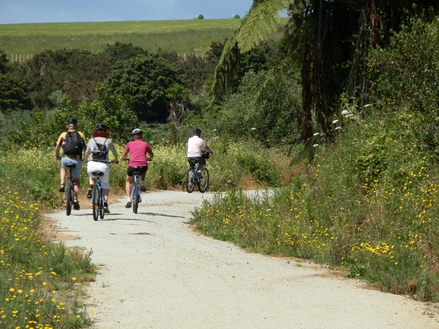 Top Trail Hire & Tours Ltd Cycle Hire , Transport and (7 Day Weather Forecast For